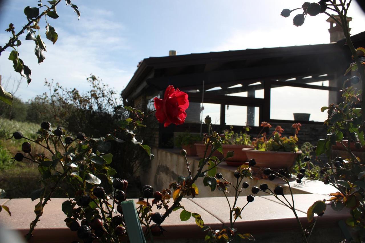 Bed and Breakfast La Casa Di Bia Corleone Exteriér fotografie